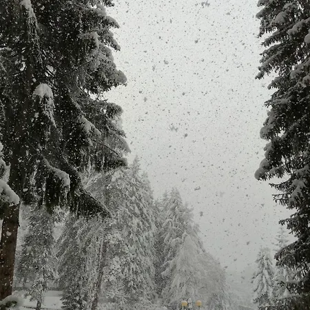 Bella Vista Apartment *