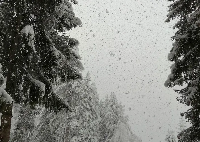 Bella Vista דירה *