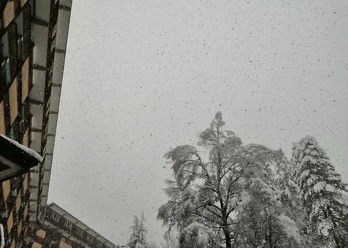 Bella Vista * לימונה פיימונטה